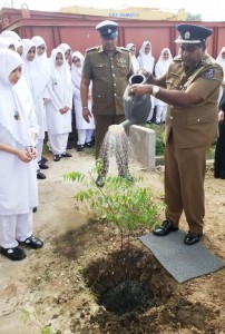 Drug Awareness and “Plant a Tree” Campaign